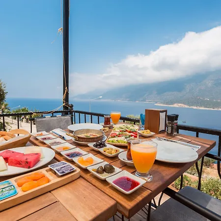 Hillcity (adults Only)