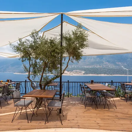 Hillcity (adults Only) 3*