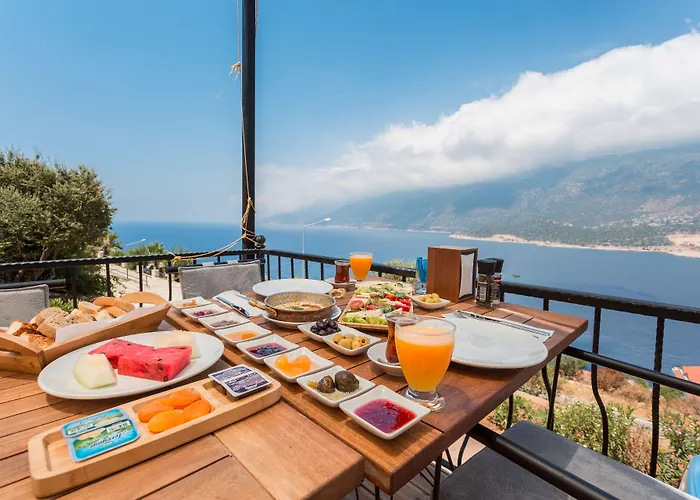 Hillcity (adults Only)