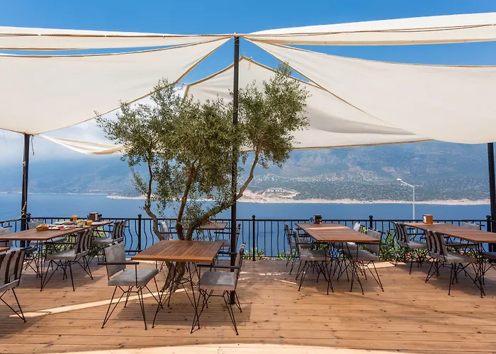 Hillcity (adults Only) 3*